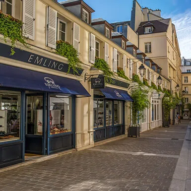 Shopping in Paris jpg