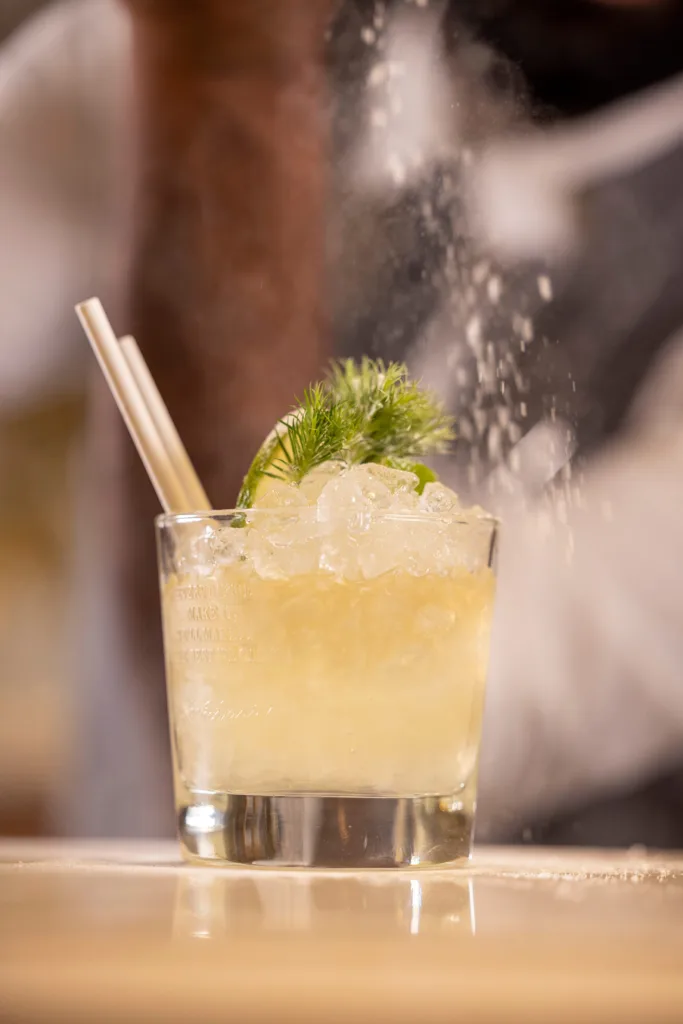 16A8811 horset opera bd